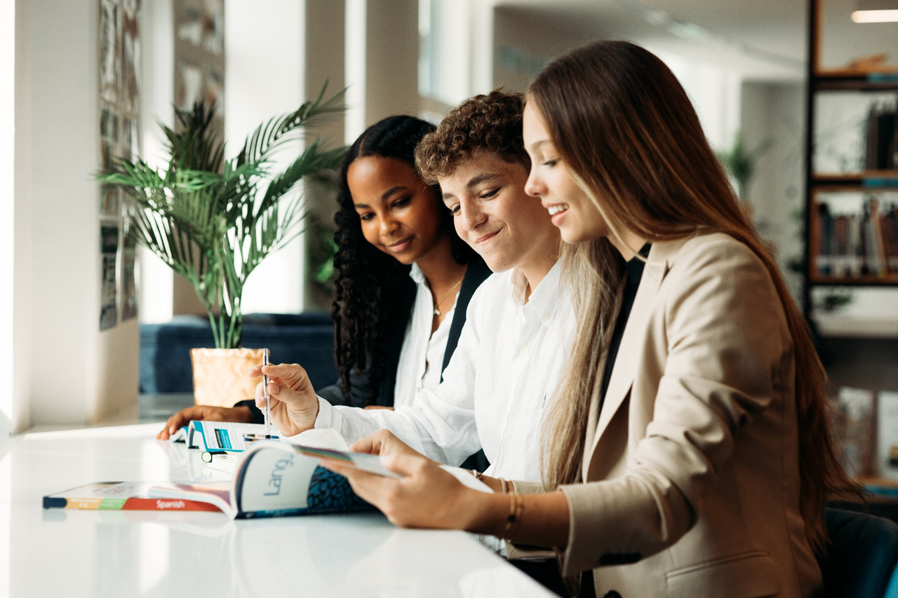 What is the difference <br>between IBDP and IBCP?